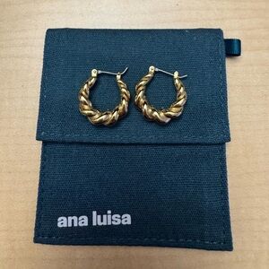 Ana Luisa Paris Twisted Hoop Earrings (Medium)